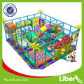 Professionelle Kindergarten Spielplatz Ausrüstung von LE-BY009